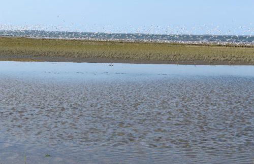 Ferienwohnung Rabenstein - Foto 14