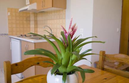 Fani Hotel - Foto 42