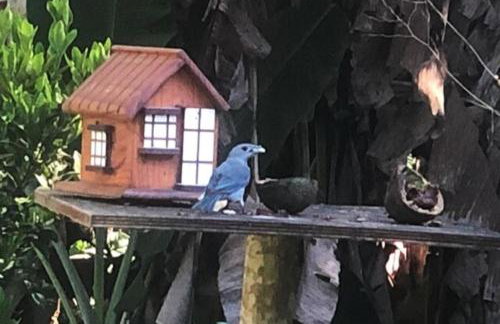 Casa de Campo & Home Office - Itapecerica da Serra , perto do Embu das Artes - Photo 25