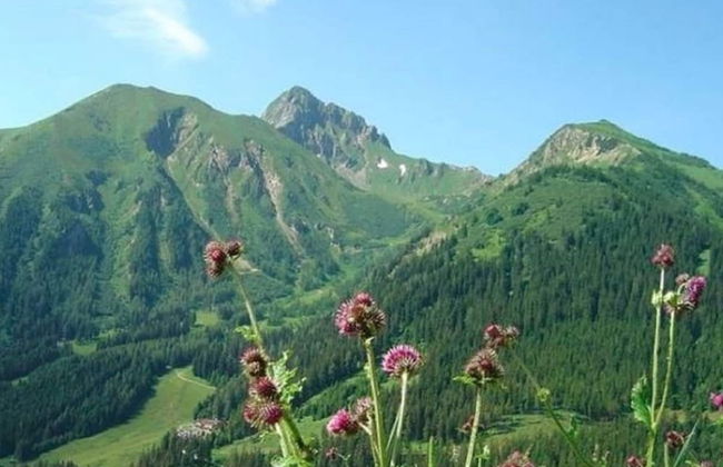 Welcoming Apartment near Forest in Vordenberg - Foto 23