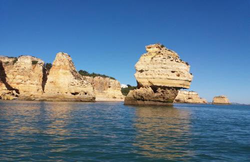 Do Jardim - Photo 15