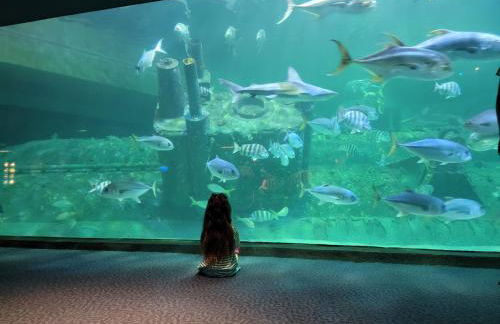 Outback Fifth Wheel at Seaside Cottages - Foto 11