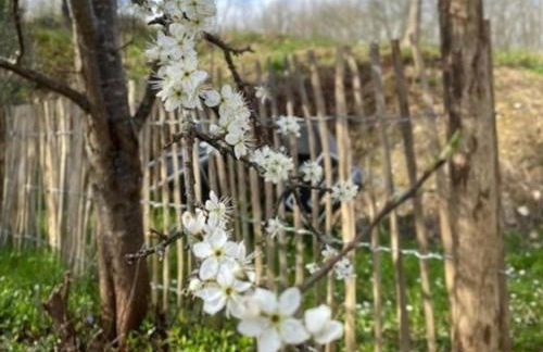 Gite La Folie - Foto 16