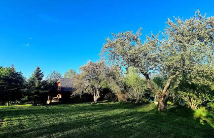 Cisowe Wzgórze - Foto 17