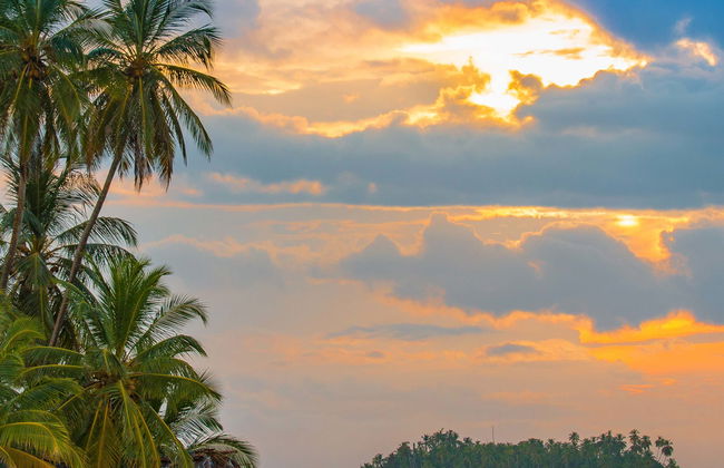 San Blas Islands Excursion - Photo 5