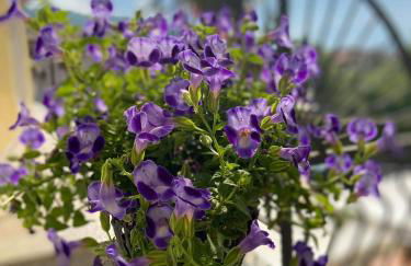 Agriturismo Rocca Dei Marchesi - Foto 52