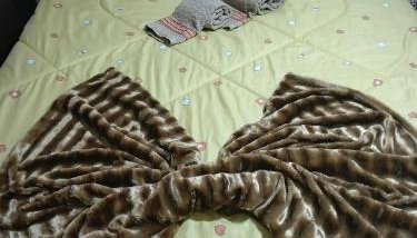 Big holiday home - Foto 1