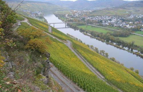 Mühlenhof - Riesling - Foto 25