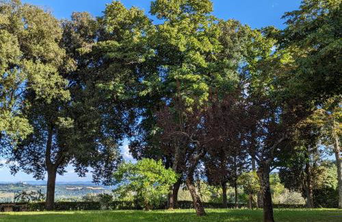 Poggio 3 Lune - Foto 42