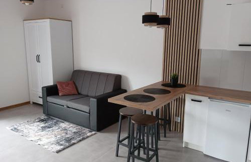 Wczasy Chmielno Apartament PUDROWY - Foto 47