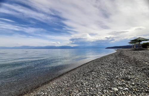 SeaView Backyard - Photo 42