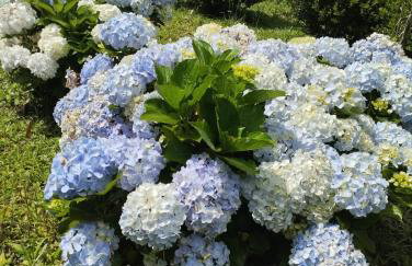 Linda casa em Mury,com riacho e lareira - Foto 48