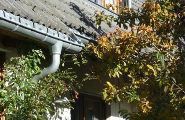 4-Sterne Ferienhaus Rösslewiese Hinterzarten - Foto 24