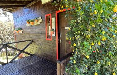 Chalés incríveis com banheira de hidromassagem e vista encantadora - Photo 16