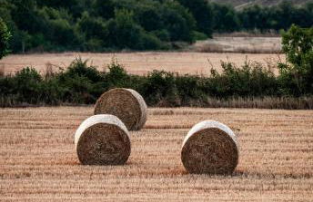 Biltegi Etxea - Foto 46