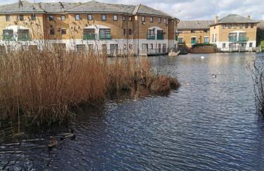 Riverside 1BR with Easy Transport 20min to City Centre - Photo 51