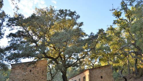 Nature Space Jabugo - Foto 3