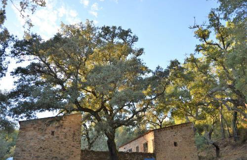 Nature Space Jabugo - Foto 3