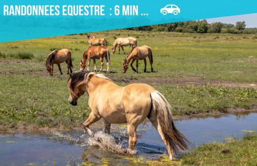 Entre Terre & Marais-Plain-pied-Plage à 15min-BBQ - Foto 18