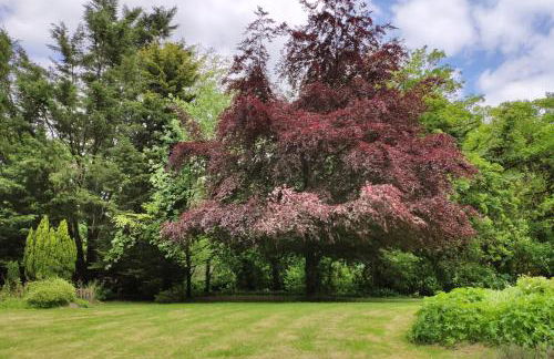 The Annex Roundaway Lodge - Foto 14