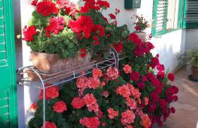 Casa di Giulia (Bambini gratis fino a 6 anni) - Foto 29