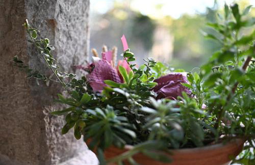 Apartman studio Baladur - Foto 16