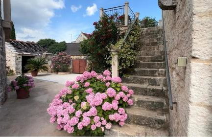 Villa Rosa, Dracevica 46a, Brac - Foto 10