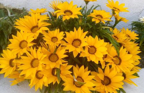 Villa in Sintra - Casa da Penha Ferrim - Foto 19