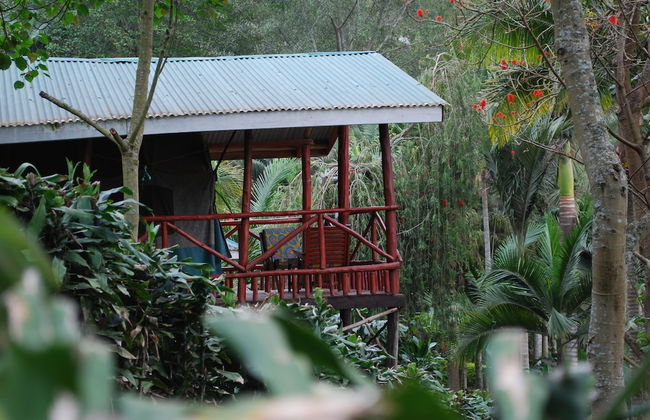 Crater Bay Cottages - Photo 12