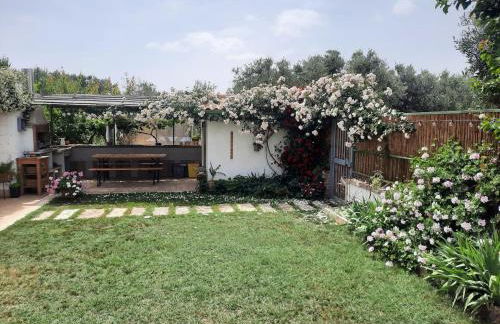 Podere MiaMa - Foto 22