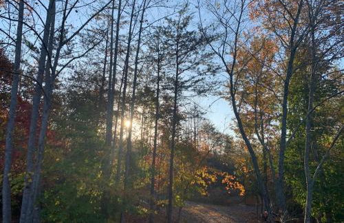 Luxury Loft Cabin 5 miles to TIEC for the Equestrian Internationl Games - Foto 20