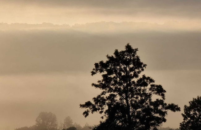 Clandulla Cottages - Foto 40