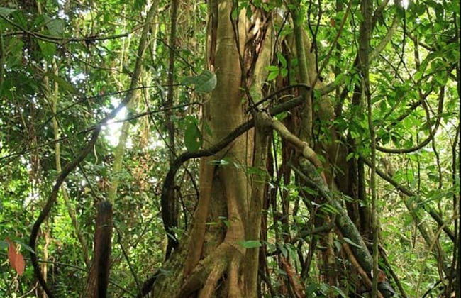 Tour por La Asunción + Trekking por La Sierra - Foto 6