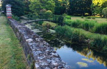 Le Rin de la fôret - Foto 12