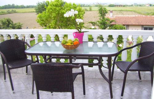 Verginia Studios - Photo 25