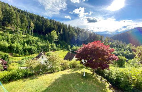 Ferienwohnung zur Bierliebe - Mit toller Aussicht im Herzen des Schwarzwaldes - Foto 1