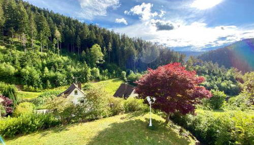 Ferienwohnung zur Bierliebe - Mit toller Aussicht im Herzen des Schwarzwaldes - Foto 1, Garden, Garden view