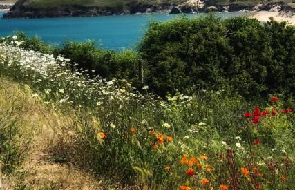 Brookdale House - Foto 79