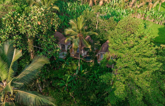 Sacred Canyon Ubud by GenuineHost - Foto 4