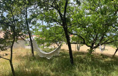 Refúgio das Tílias - Photo 21