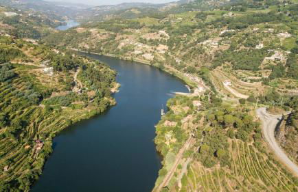 Casa Douro River - Foto 14