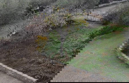 Gorgeous 3 bedrooms Apartment in Pilio - Foto 34