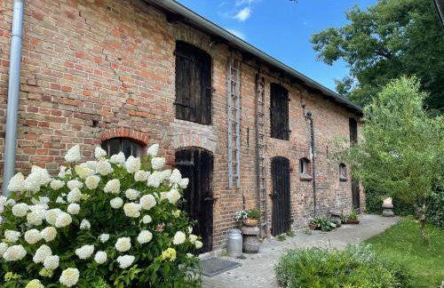 Ostsee Jägerhütte am Waldesrand mit Sauna - Foto 3