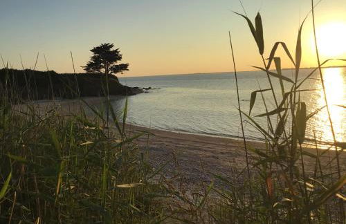 île Bacchus - Foto 17