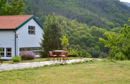 Solar da Castanha - Forest House - Foto 25