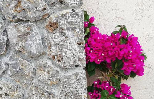 The Mathraki Studios - Foto 32