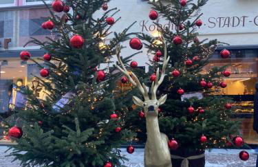 Cedä Meia - Foto 56