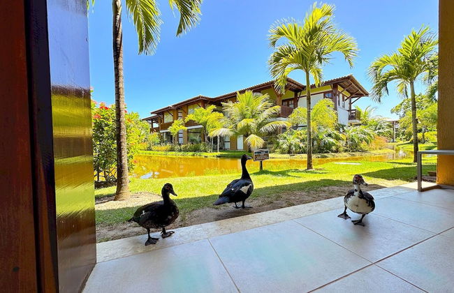 Maruwá - AP das Gordinhas - Photo 42