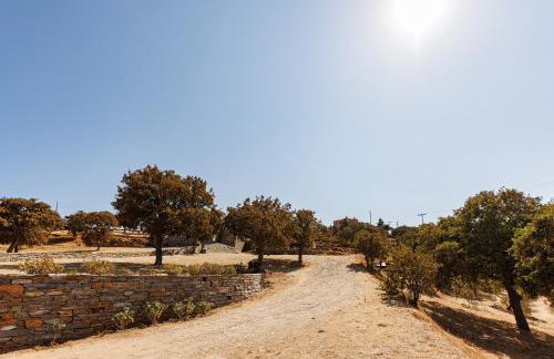 Peace View Kea - Foto 31