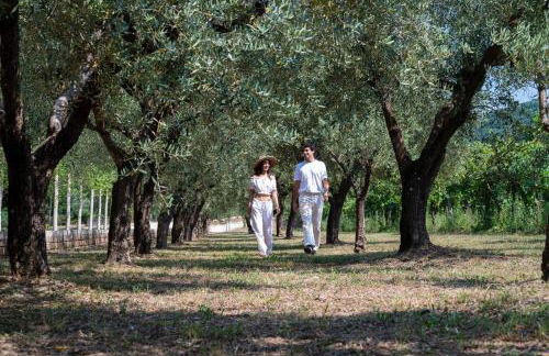 Family Farm Soc. Agr. a r.l. - Foto 6